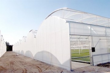 Măciucă vrea să înfiinţeze o seră în Agigea