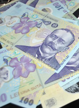 Ministerul Finanţelor a împrumutat 600 de milioane de lei de la bănci