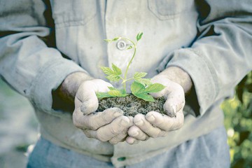 Peste 55.000 de fermieri, controlați de Agenția de Plăți și Intervenție în Agricultură