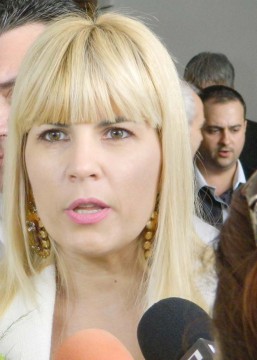 Judecătorii ICCJ au amânat pronunțarea în dosarul 
