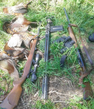 Vânătoare ilegală de fazani în Delta Dunării