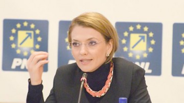 Gorghiu: CCR să ingnore presiunile în favoarea unui singur tur