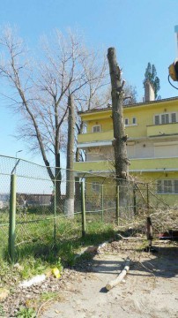 Campania „Curăţăm Constanţa Noastră” continuă în forţă