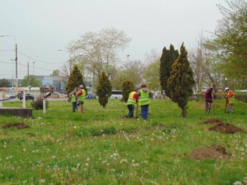 Curățenia de primăvară în municipiul Constanța este în toi