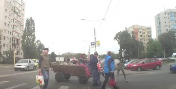 Se întâmplă la Constanţa! O căruţă a lovit un pieton pe trecere!