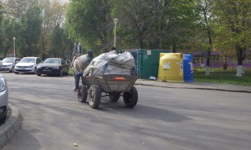 Acțiune de amploare: polițiștii constănțeni le-au pus gând rău căruțașilor