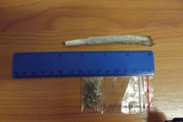 Un tânăr din Mangalia, prins cu etnobotanice asupra lui