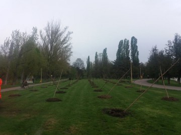 Voluntarii și elevii constănțeni au plantat copaci de Ziua Pământului