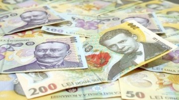 Deputaţii au amânat cu două săptămâni legea conversiei creditelor