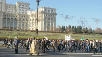 Crescătorii de oi, noi proteste