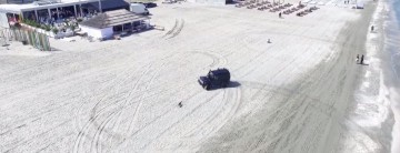 Un COCALAR a alergat un câine cu un bolid de lux, pe plajă la Mamaia - VIDEO