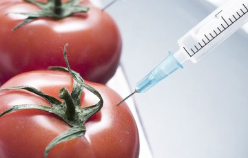 Roșii și ardei din Iordania, fasole boabe pline de pesticide
