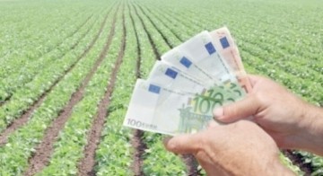 APIA: 373 de milioane de euro către fermieri