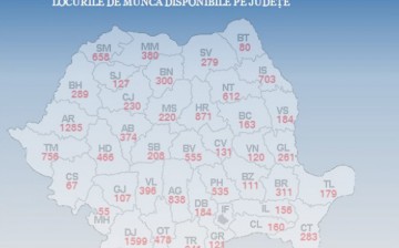 Aproximativ 300 de locuri de muncă disponibile în județul Constanța