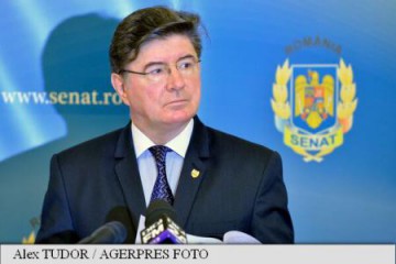 Senat: Candidatura lui Chelaru pentru CCR, retrasă din raportul Comisiei juridice