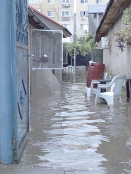 Vremea nemiloasă a distrus grădinile locuitorilor din Siminoc