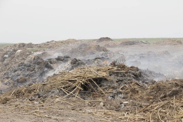 Dezastrul de la Gârliciu: străzi de pământ şi gunoaie care ard în câmp