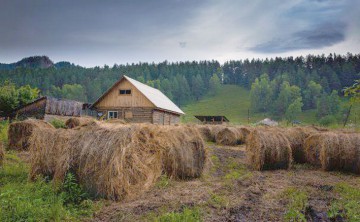 Rusia nu vrea să mai importe produse alimentare