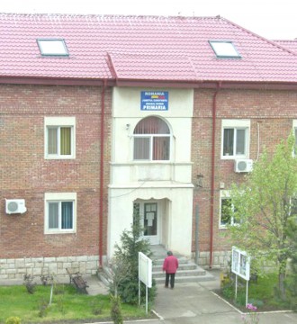 Linişte şi pace la Ovidiu. Ce spune Poliţia Locală despre cazurile de violenţă domestică