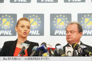 Gorghiu şi Blaga, mandataţi pentru „generarea unei platforme” în perspectiva alegerilor legislative