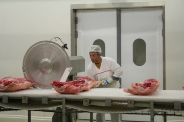 România ar putea exporta carne de porc