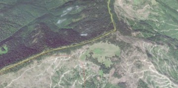 România, rasă de mafia pădurilor! Discrepanţă uriaşă la frontiera cu Ucraina