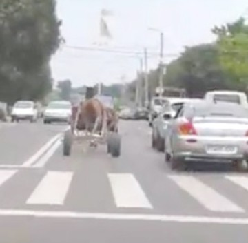 O căruţă a semănat haos pe străzile din Năvodari