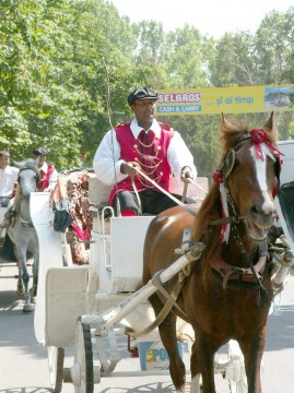 Regia de Drumuri, proprietară de trăsuri, hamuri şi costume de călărie