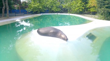 Tarife noi la Microrezervaţie, Delfinariu şi Acvariu