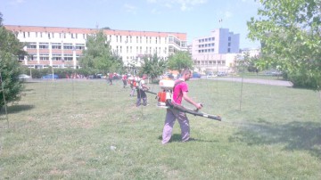 Dezinsecţia la nivelul municipiului continuă