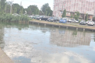 Podețele din Satul de Vacanță și Parcul Tăbăcărie trebuiau să intre în reparații de trei luni! Până acum nu s-a pus nici o șipcă 