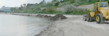 Aproximativ 20.000 de tone de alge adunate de pe litoral