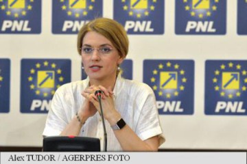 Unde candidează Gorghiu şi Blaga la parlamentare