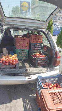 Două tone de fructe şi legume, CONFISCATE din pieţele Brotăcei, Cireşica, Tomis 3, Tic-Tac şi Griviţei