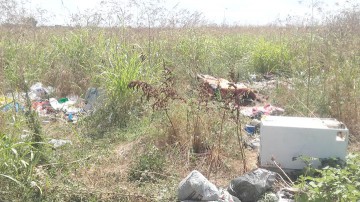 Proprietarul „focarului de infecţie” din Kilometrul 5, obligat să îşi igienizeze terenul