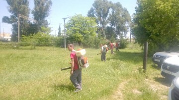 Începe dezinsecţia şi la Cernavodă
