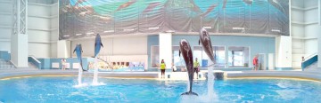 Ziua Delfinului va fi marcată la Complexul Muzel de Ştiinţe ale Naturii