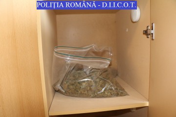 Percheziții de amploare în Constanța, pentru combaterea contrabandei cu țigări. 11 persoane, reținute