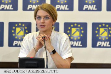 Gorghiu: PNL nu doreşte o lege a aministiei şi graţierii; ce propune în schimb