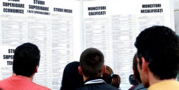 Rata șomajului a scăzut cu 8%