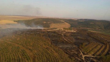 INCENDIU DE PROPORŢII LA CRUCEA! LIVADA ŞI PĂDUREA, ÎN FLĂCĂRI - VIDEO