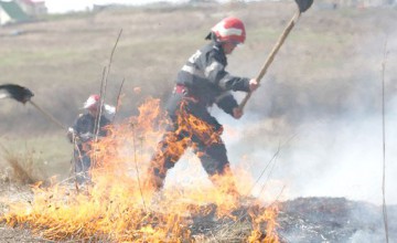 Intervenţie în forţă: incendiu lângă pădurea de la Kogălniceanu