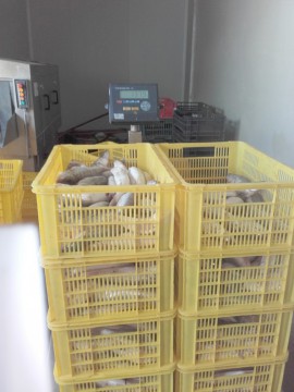 Peşte fără documente de provenienţă, confiscate de poliţişti