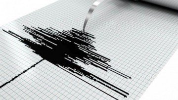 Cutremure în România