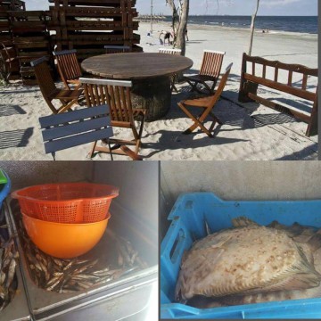 Terasa Merlin din Mamaia Nord, închisă de ANPC! Inspectorii au găsit 65 kg de pește ÎMPUȚIT