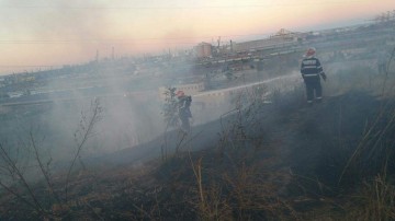 Incendiu pe Valea Portului