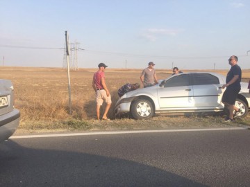 Accident pe un drum european, din cauza… unor oi!