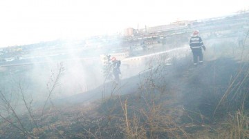 Valea Portului, pârjolită de la o ţigară aruncată la întâmplare