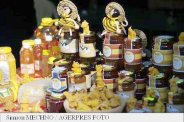 Exportul de miere a fost într-un blocaj în 2016