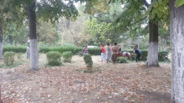 În sfârşit! Parcul din faţa Primăriei, curăţat